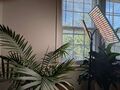A Grow light on a stand