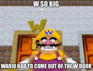 Big W.jpg